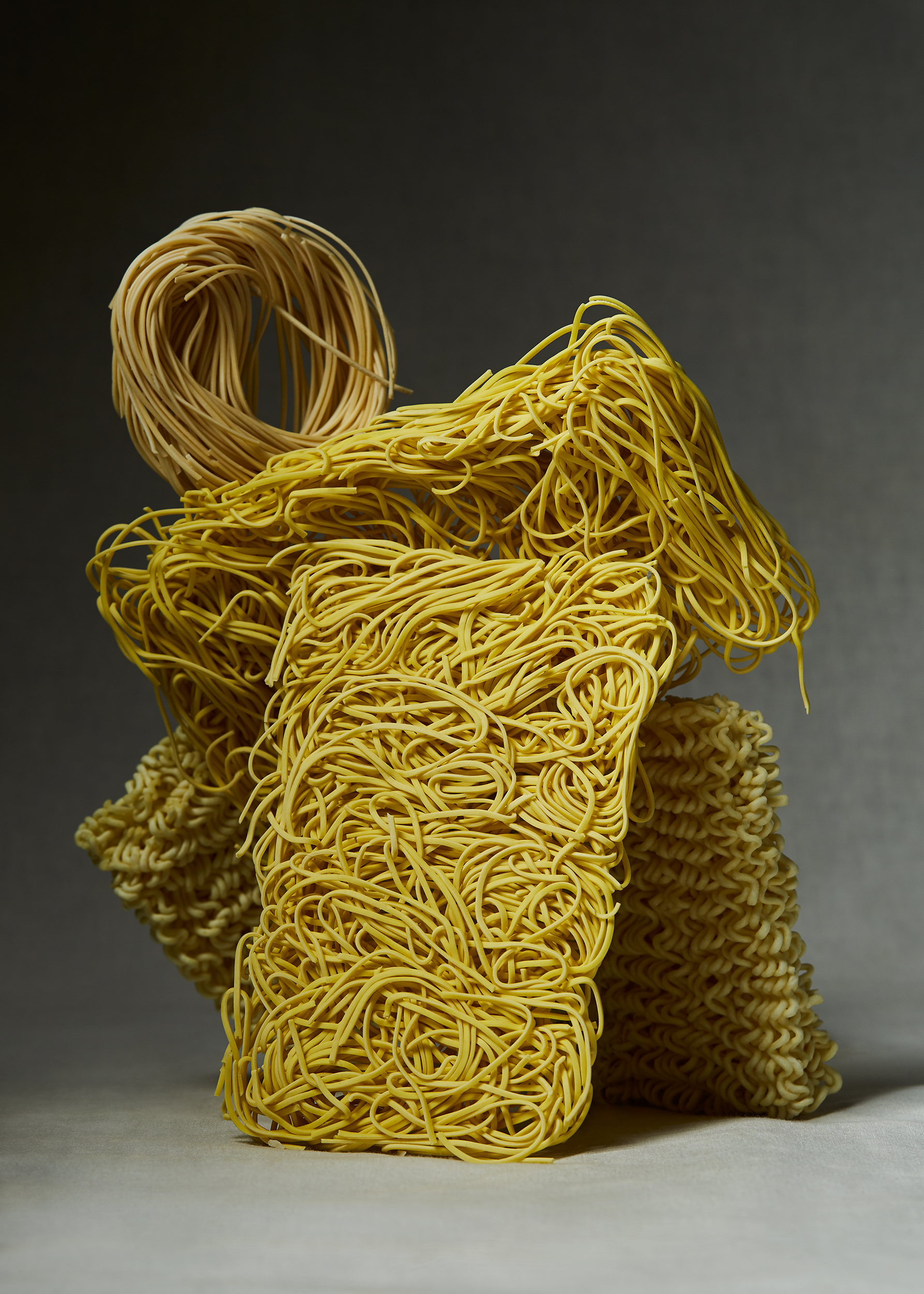 Noodle_Sculptures_1001