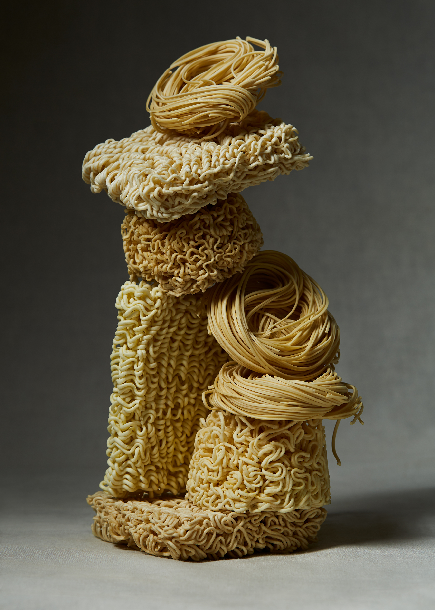 Noodle_Sculptures_1002